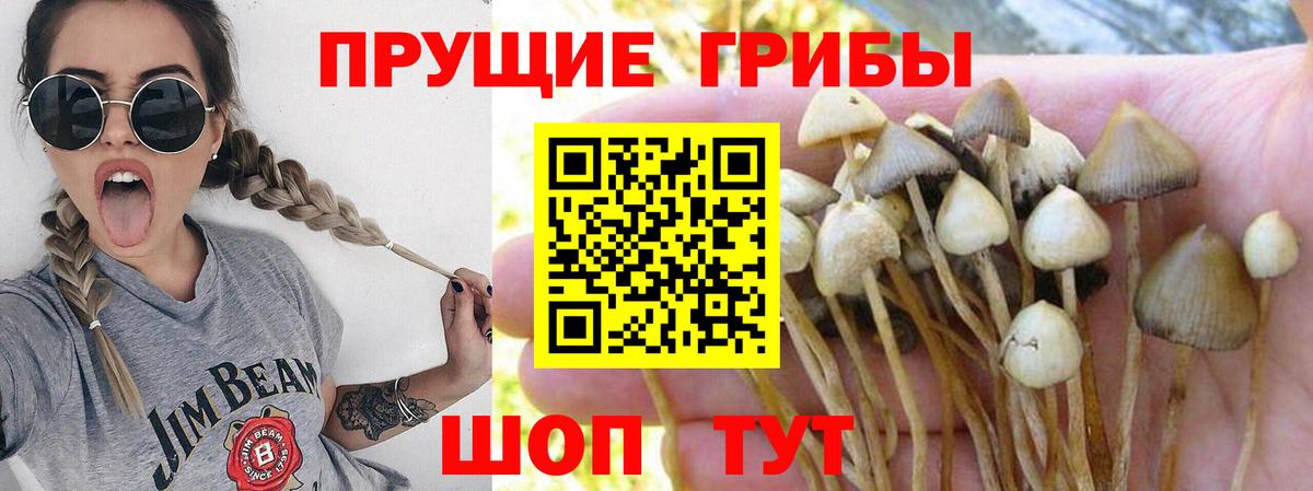 Галлюциногенные грибы Magic Shrooms Ишим